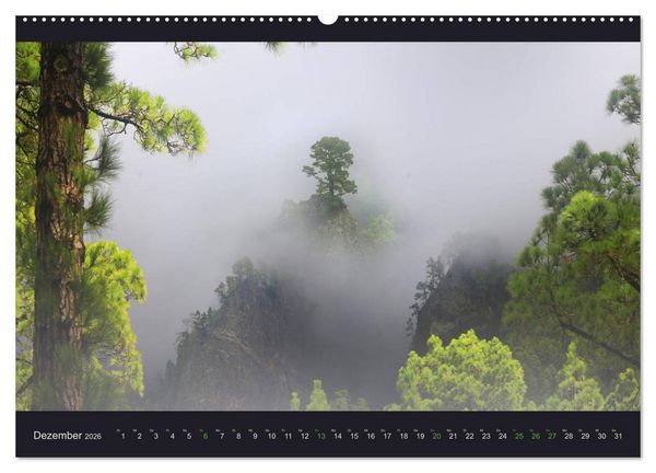 Produktbild: wildes La Palma (Wandkalender 2026 DIN A2 quer), CALVENDO Monatskalender