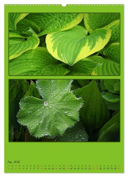 Produktbild: Farbtupferl der Natur (Wandkalender 2026 DIN A2 hoch), CALVENDO Monatskalender