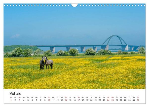 Produktbild: Fehmarn - "fe mer" nat&uuml;rlich "am Meer gelegen" (Wandkalender 2026 DIN A3 quer), CALVENDO Monatskalender