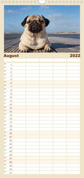 Produktbild: Mops - Familienplaner hoch (Wandkalender 2022 , 21 cm x 45 cm, hoch)