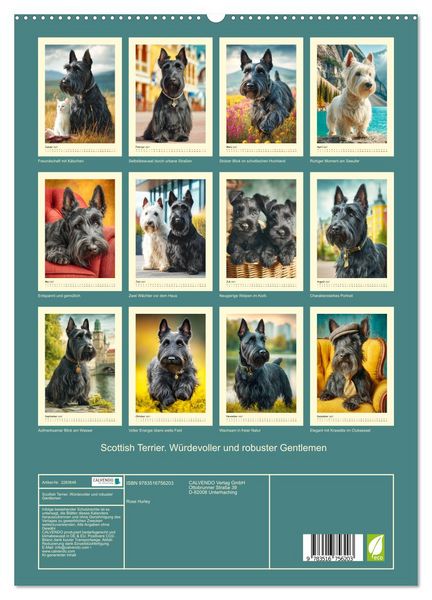 Produktbild: Scottish Terrier. W&uuml;rdevoller und robuster Gentlemen (hochwertiger Premium Wandkalender 2027 DIN A2 hoch), Kunstdruck in Hochglanz