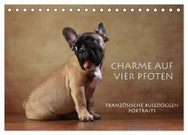 Produktbild: Charme auf vier Pfoten - Franz&ouml;sische Bulldoggen Portraits (Tischkalender 2026 DIN A5 quer), CALVENDO Monatskalender