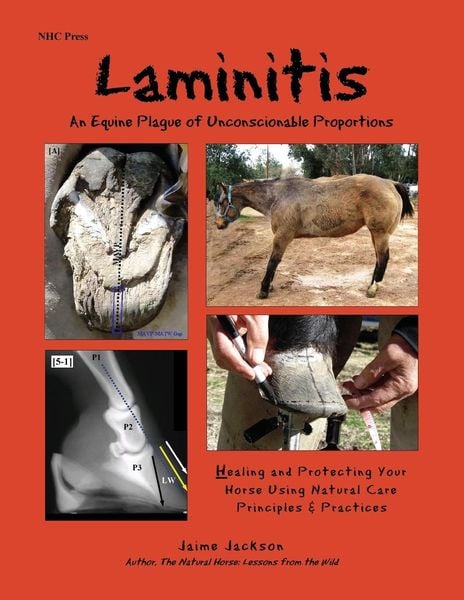 Produktbild: Laminitis