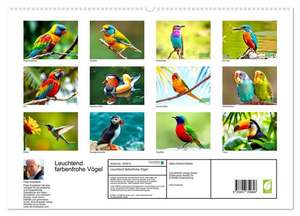 Produktbild: Leuchtend farbenfrohe V&ouml;gel (hochwertiger Premium Wandkalender 2026 DIN A2 quer), Kunstdruck in Hochglanz