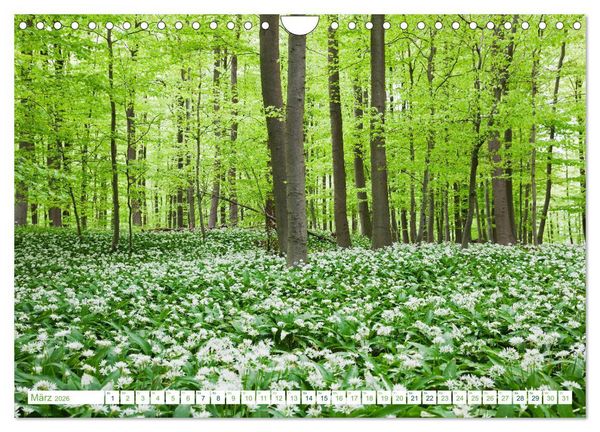 Produktbild: Eifel Reise - romantische Orte (Wandkalender 2026 DIN A4 quer), CALVENDO Monatskalender