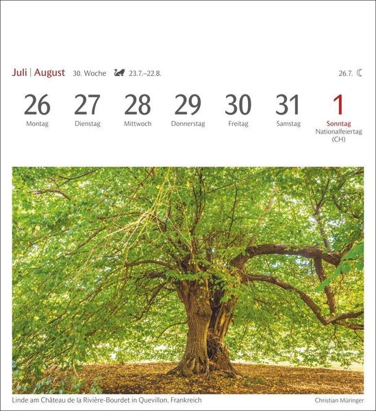 Produktbild: B&auml;ume Postkartenkalender 2027 - Wochenkalender mit 53 Postkarten