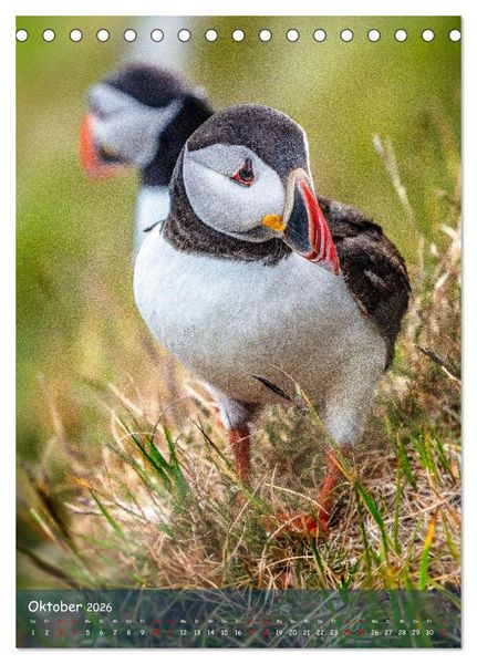 Produktbild: Naturerlebnis Puffin (Tischkalender 2026 DIN A5 hoch), CALVENDO Monatskalender