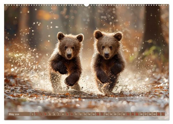 Produktbild: Bears Kingdom (Wall Calendar 2026 DIN A2 landscape), CALVENDO 12 Month Wall Calendar