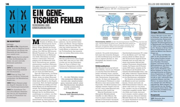 Produktbild: Big Ideas. Das Medizin-Buch