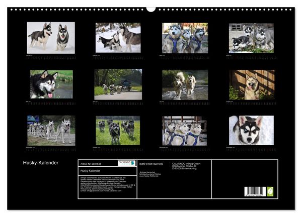 Produktbild: Husky-Kalender (Wandkalender 2026 DIN A2 quer), CALVENDO Monatskalender
