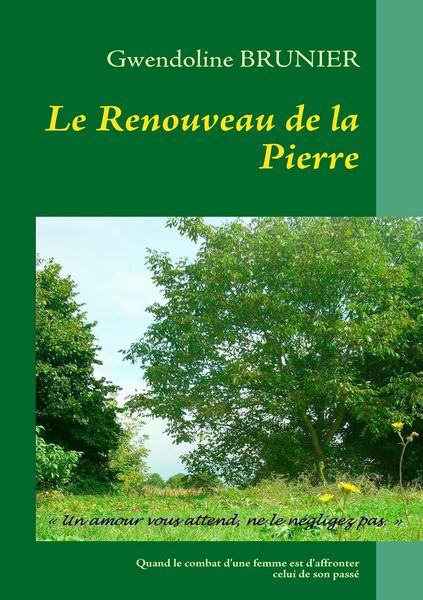 Produktbild: Le Renouveau de la Pierre