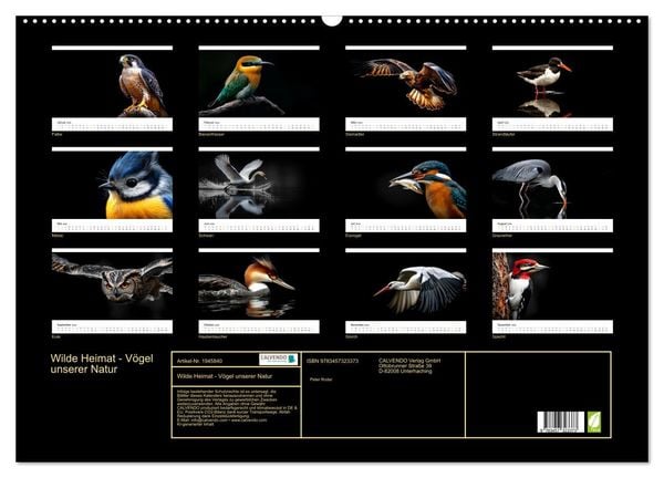 Produktbild: Wilde Heimat - V&ouml;gel unserer Natur (Wandkalender 2026 DIN A2 quer), CALVENDO Monatskalender