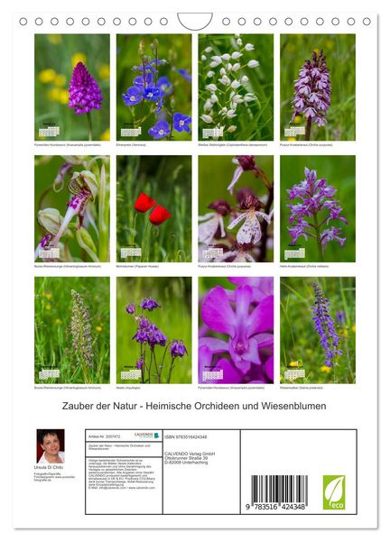 Produktbild: Zauber der Natur - Heimische Orchideen und Wiesenblumen (Wandkalender 2026 DIN A4 hoch), CALVENDO Monatskalender
