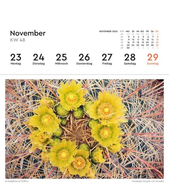 Produktbild: Aufgebl&uuml;ht - KUNTH Postkartenkalender 2026