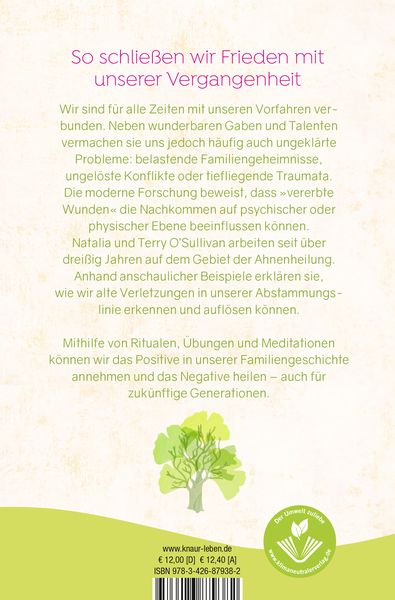 Produktbild: Die pr&auml;gende Kraft unserer Ahnen