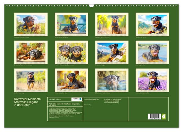 Produktbild: Rottweiler Momente. Kraftvolle Eleganz in der Natur (Wandkalender 2026 DIN A2 quer), CALVENDO Monatskalender