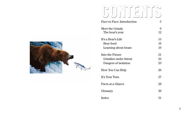 Produktbild: Sartore, J: Face to Face with Grizzlies