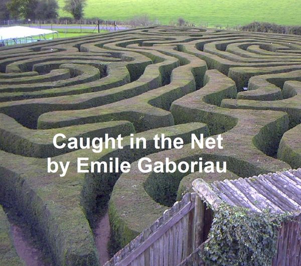 Produktbild: Caught in the Net
