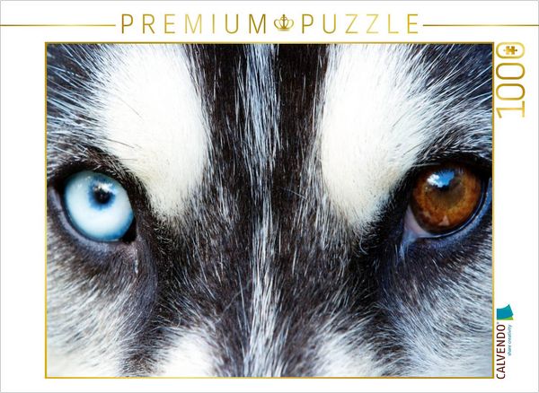 Produktbild: CALVENDO Puzzle Huskyaugen | 1000 Teile Lege-Gr&ouml;&szlig;e 64x48cm Foto-Puzzle f&uuml;r gl&uuml;ckliche Stunden