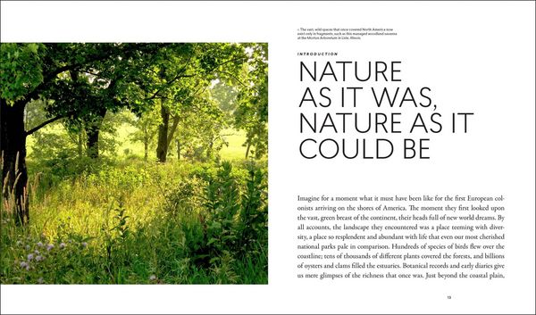 Produktbild: Planting in a Post-Wild World