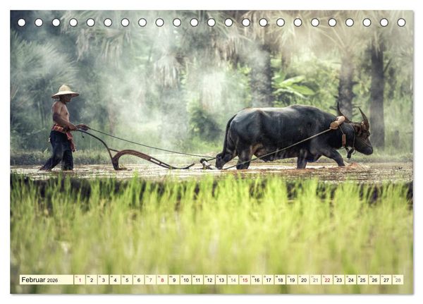 Produktbild: Magisches Asien. Menschen und Natur (Tischkalender 2026 DIN A5 quer), CALVENDO Monatskalender