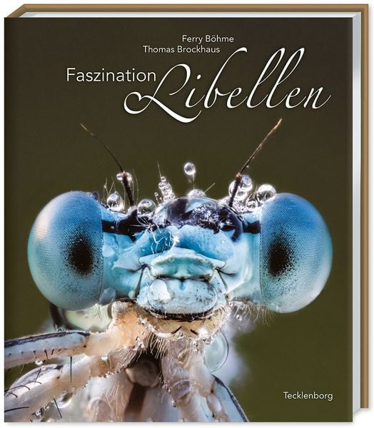Faszination Libellen, Gebundene Ausgabe von Thomas Brockhaus,Ferry Böhme, Tecklenborg, B, 978-3-944327-63-1