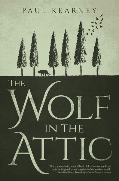 Produktbild: The Wolf in the Attic