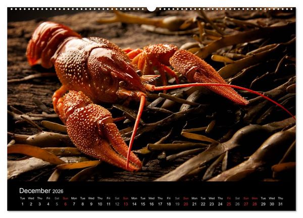 Produktbild: Delicious - Gourmet Food Calendar 2026 / UK-Version (High Quality Premium Wall Calendar 2026 DIN A2 landscape),CALVENDO 12 Month Wall Calendar