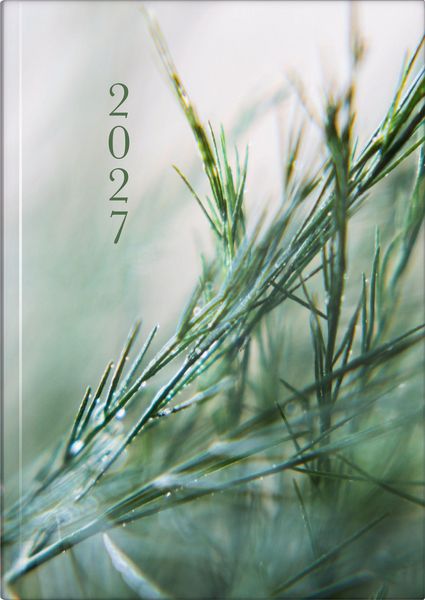 Produktbild: rido/id&eacute; 7021507017 Buchkalender Premium Young Line 2027 "Greeny" A5, Papier