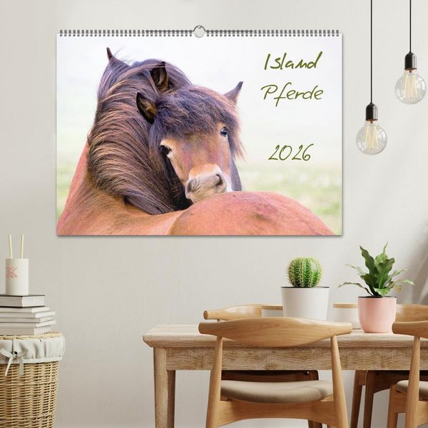 Produktbild: Islandpferde (Wandkalender 2026 DIN A2 quer), CALVENDO Monatskalender