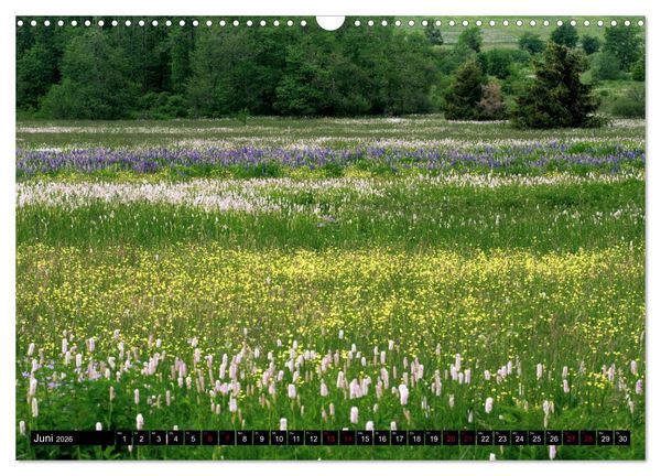 Produktbild: Die Rh&ouml;n (Wandkalender 2026 DIN A3 quer), CALVENDO Monatskalender