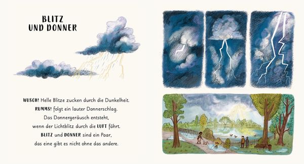 Produktbild: Wunder der Natur im Park