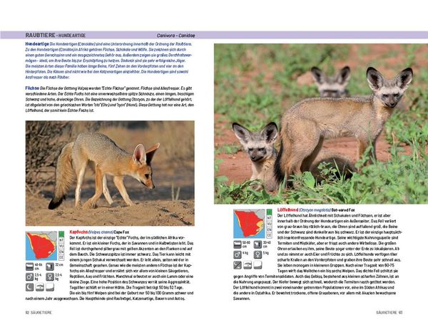 Produktbild: Safari-Reisef&uuml;hrer S&uuml;dliches Afrika