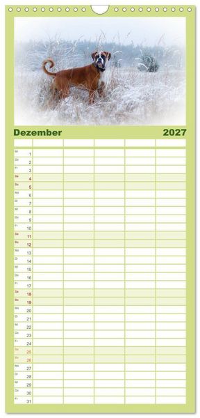 Produktbild: Familienplaner 2027 - Wenn ich gro&szlig; bin werd' ich Boxer mit 5 Spalten (Wandkalender, 21 x 45 cm) CALVENDO