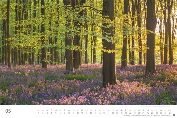 Produktbild: Wunderwelt Wald 2027