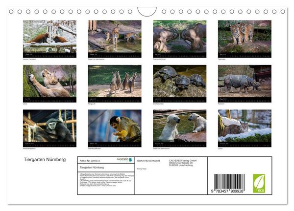 Produktbild: Tiergarten N&uuml;rnberg (Wandkalender 2026 DIN A4 quer), CALVENDO Monatskalender