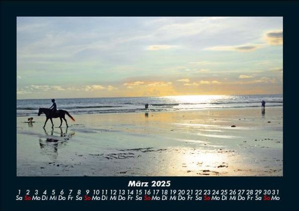 Produktbild: Die Welt der Pferde 2025 Fotokalender DIN A5