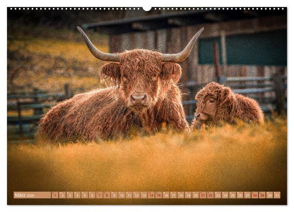 Produktbild: Mutterk&uuml;he (hochwertiger Premium Wandkalender 2026 DIN A2 quer), Kunstdruck in Hochglanz