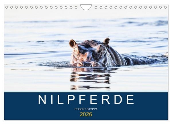 Produktbild: Nilpferde, Kolosse in Afrika (Wandkalender 2026 DIN A4 quer), CALVENDO Monatskalender