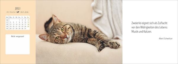 Produktbild: Katzen Premium-Tischplaner 2027 - Der literarische Wochenkalender mit Zitaten