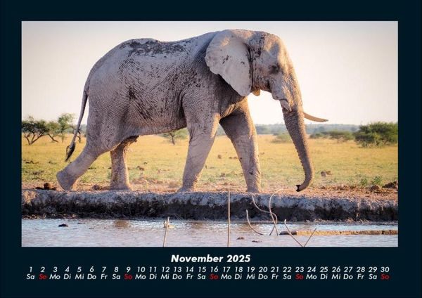 Produktbild: Der Elefantenkalender 2025 Fotokalender DIN A4