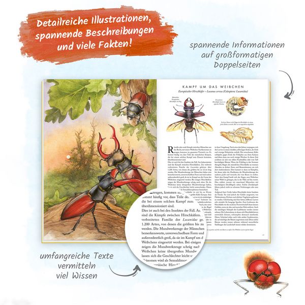 Produktbild: Tr&ouml;tsch Sachbuch Die gro&szlig;artige Welt der Insekten