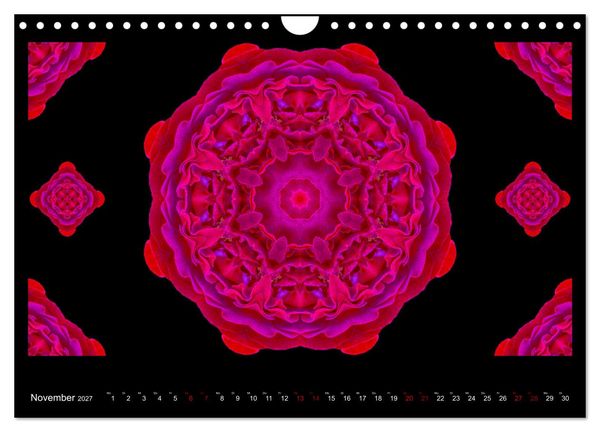Produktbild: ROSEN MANDALAS (Wandkalender 2027 DIN A4 quer), CALVENDO Monatskalender