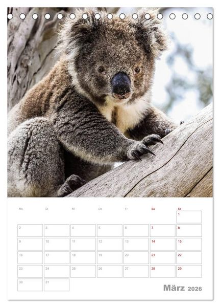 Produktbild: g'day Australien 2026 (Tischkalender 2026 DIN A5 hoch), CALVENDO Monatskalender