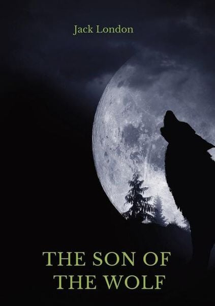 Produktbild: The Son of the Wolf