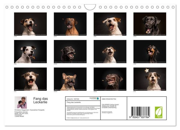 Produktbild: Fang das Leckerlie (Wandkalender 2026 DIN A4 quer), CALVENDO Monatskalender