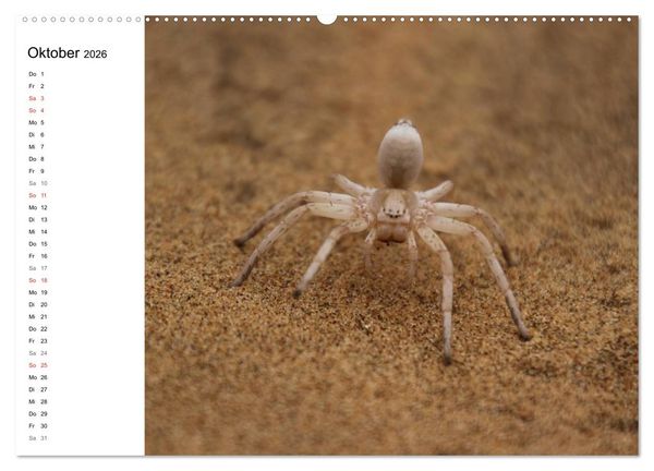 Produktbild: Namibia - Tierische Vielfalt (Planer) (Wandkalender 2026 DIN A2 quer), CALVENDO Monatskalender