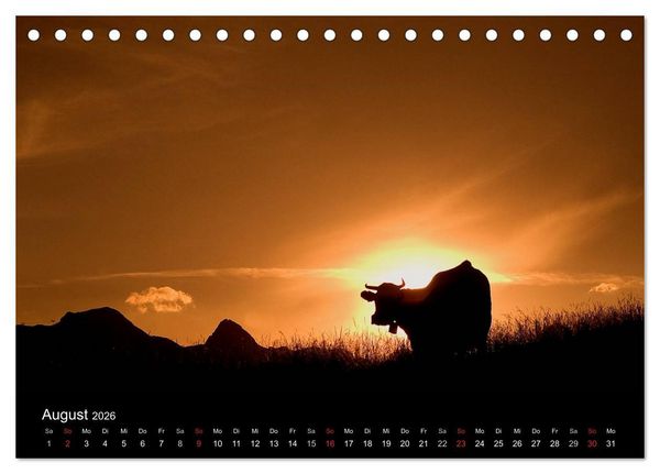 Produktbild: K&uuml;he 2026 (Tischkalender 2026 DIN A5 quer), CALVENDO Monatskalender