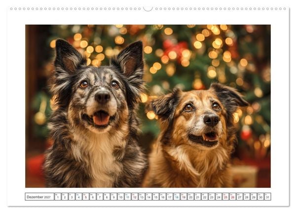 Produktbild: WUFF und WOW (Wandkalender 2027 DIN A2 quer), CALVENDO Monatskalender