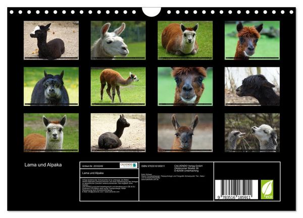 Produktbild: Lama und Alpaka (Wandkalender 2026 DIN A4 quer), CALVENDO Monatskalender